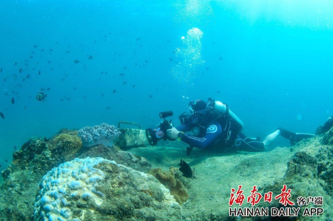 龙诚职业培训学校因戍校区游戏画面