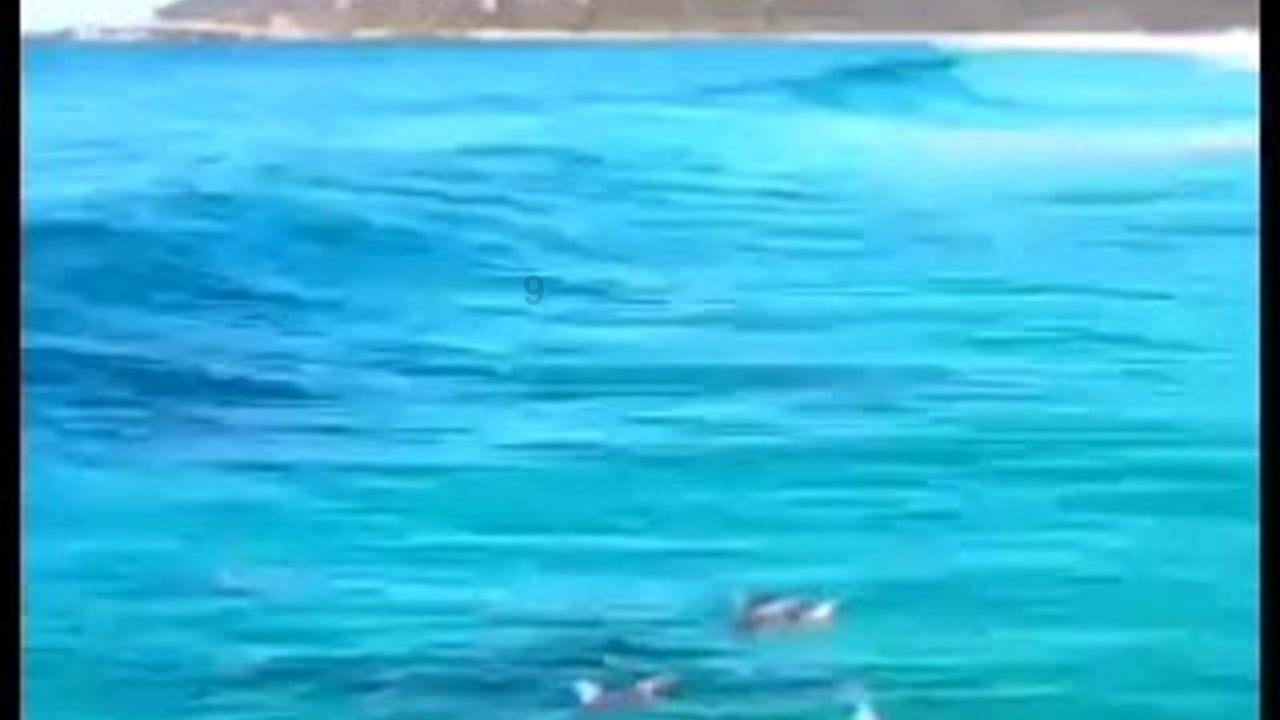 怎样维护一段刚开始的恋爱？