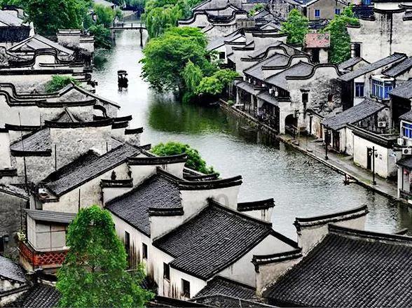 拯救落难小鸟